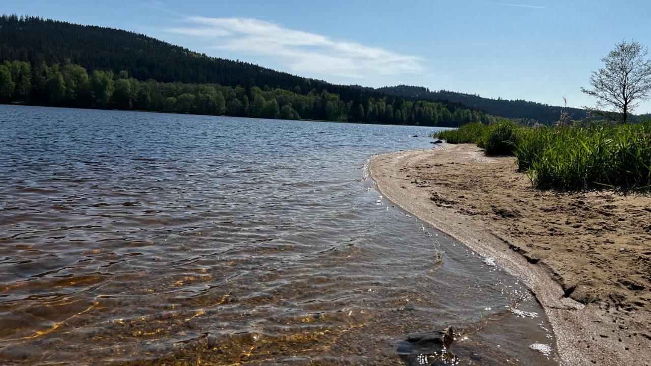 Hauslipno Bungalov Na Lipne Липно-над-Влтавой Экстерьер фото